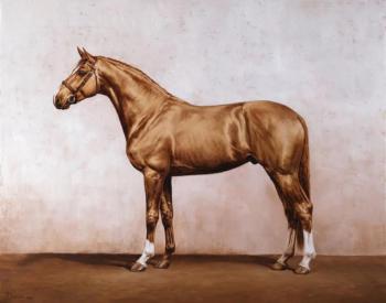 ����� �������