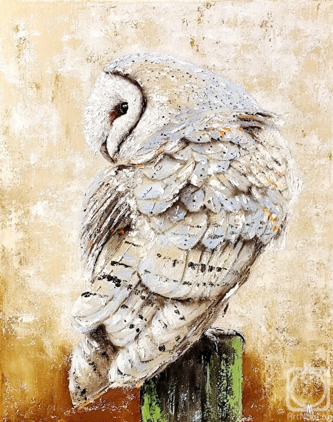 ������� ������ �� ������. �������� ������. ����-������