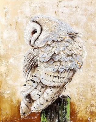 ������� �����-������