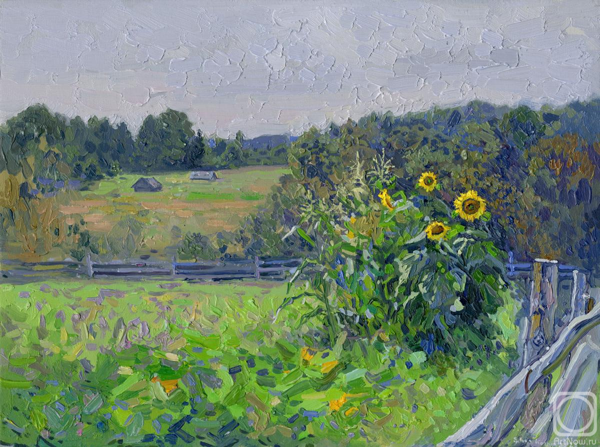 Kozhin Simon. Sunflowers and bathhouses in the village of Kruptsovo