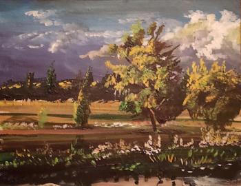 August in the Village of Krivets. Elshin Sergey