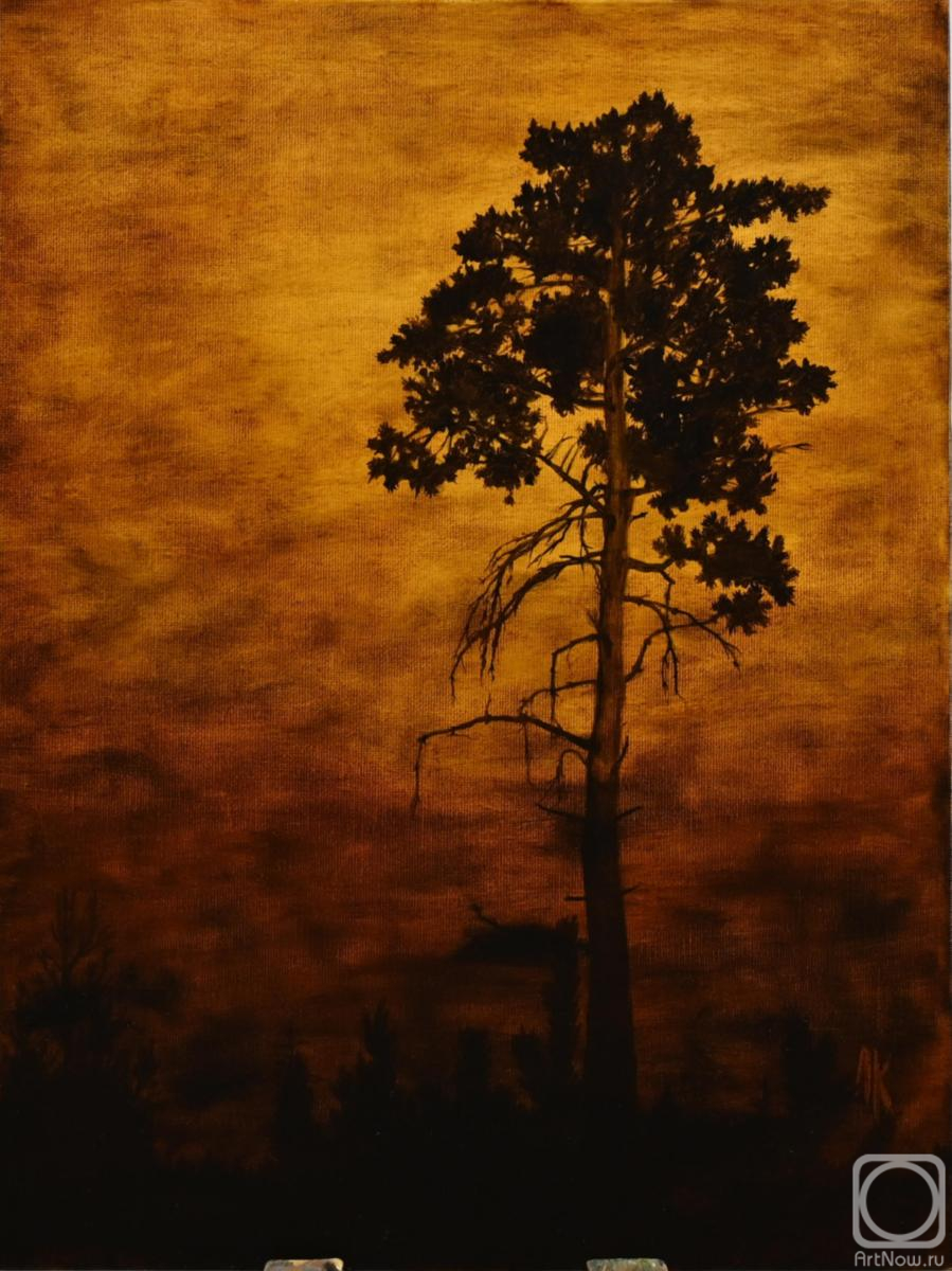 Ledenyov Konstantin. Untitled