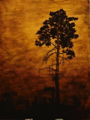 � ��������� �����. ������� ����������