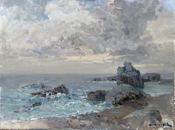 After the storm. Makarov Vitaly