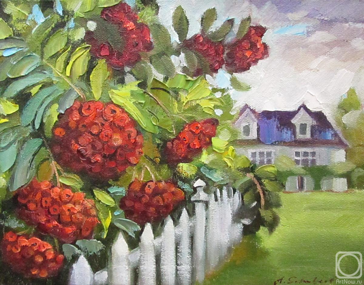 ������� ������ �� ������. ������ �������. ������