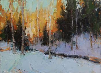 Evening contrasts. Burtsev Evgeny