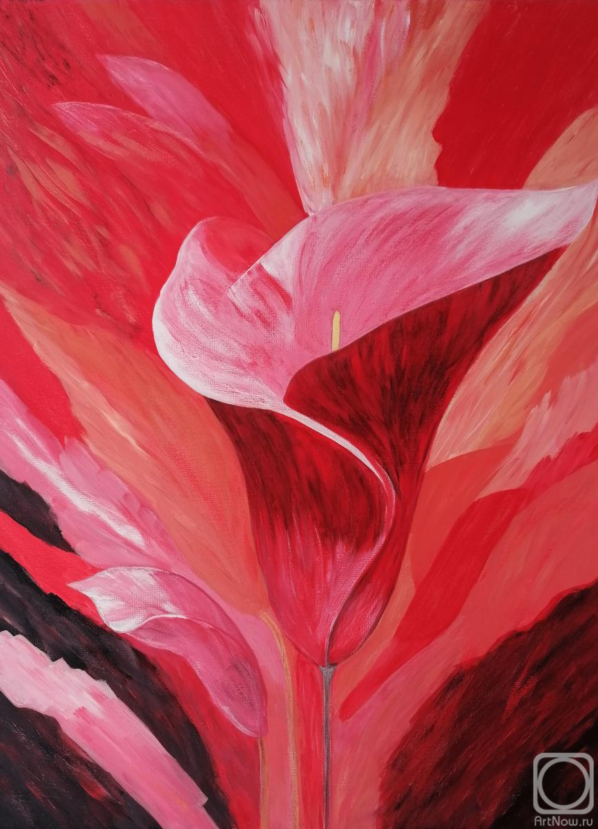 �������. ������� �����. ����� ���� -�ظ��� ����� � ���������