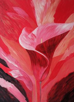 ����� ���� -�ظ��� ����� � ���������. ������� �����