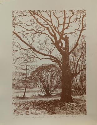 ������ ���. ����� ���������� ���� ����� (������ �������). �������� �����