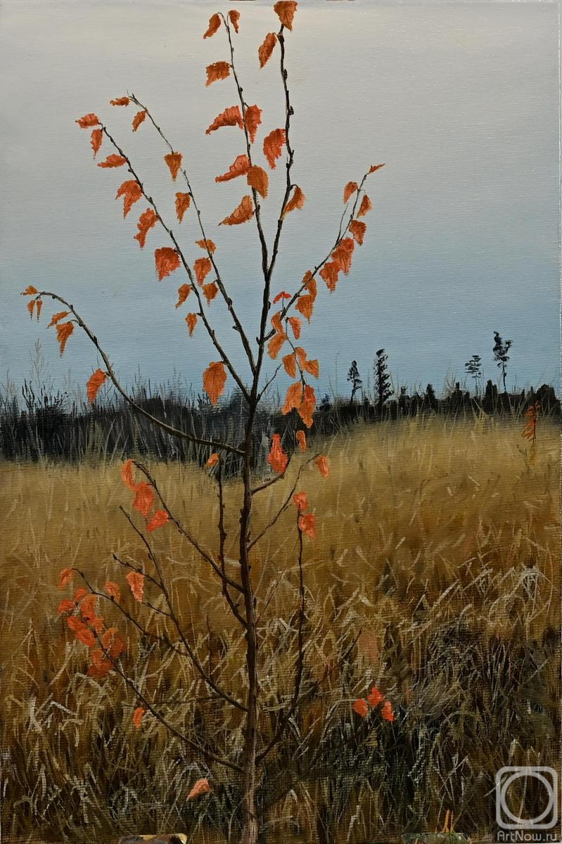 Ledenyov Konstantin. Untitled