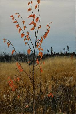 � ������� ����. ������� ����������