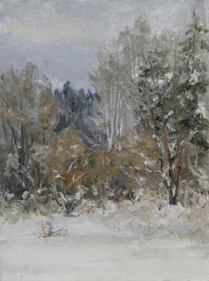 ������� �� ������� �����������