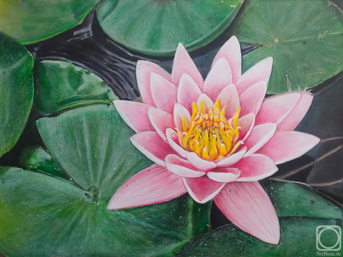 �������. ����� ������. ��������