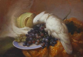 ������ � ���������� (��������� � ������). �������� �������