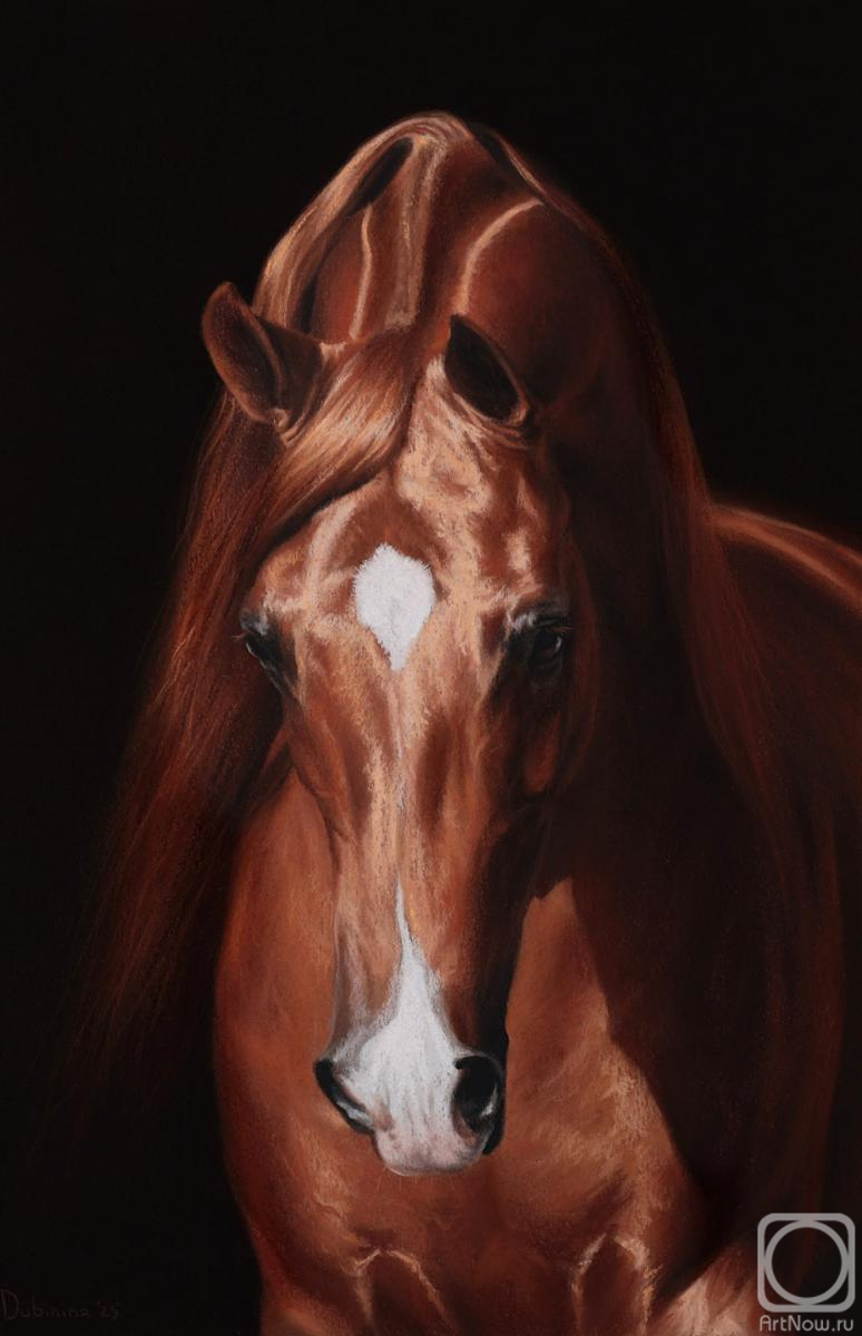 Dubinina Yuliya. Untitled