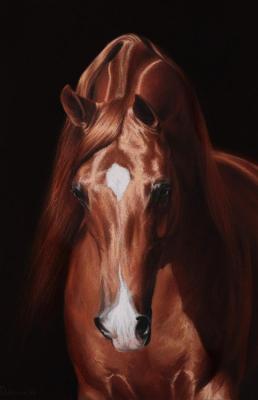 �������� ������. �������� ����