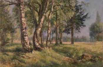 � ������������ �����������. �������� ��������