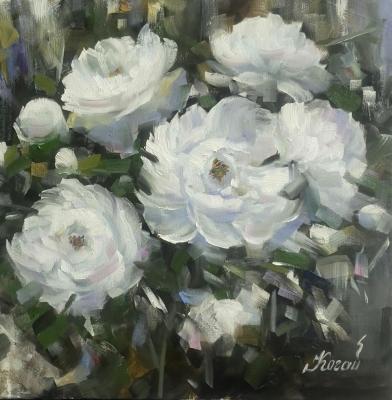 ����� �����. ����� �����