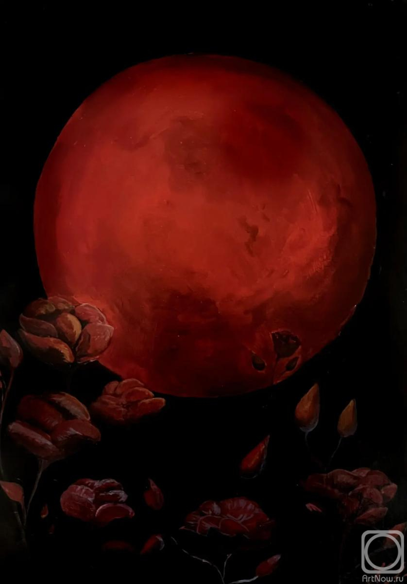 �������. ��������� �����. ���� ����