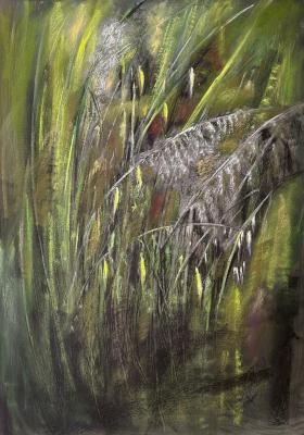 �Summer. Grasses�. Balashova Natalya