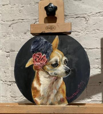 Chihuahua is ready to go out!. Malyutina Yuliya