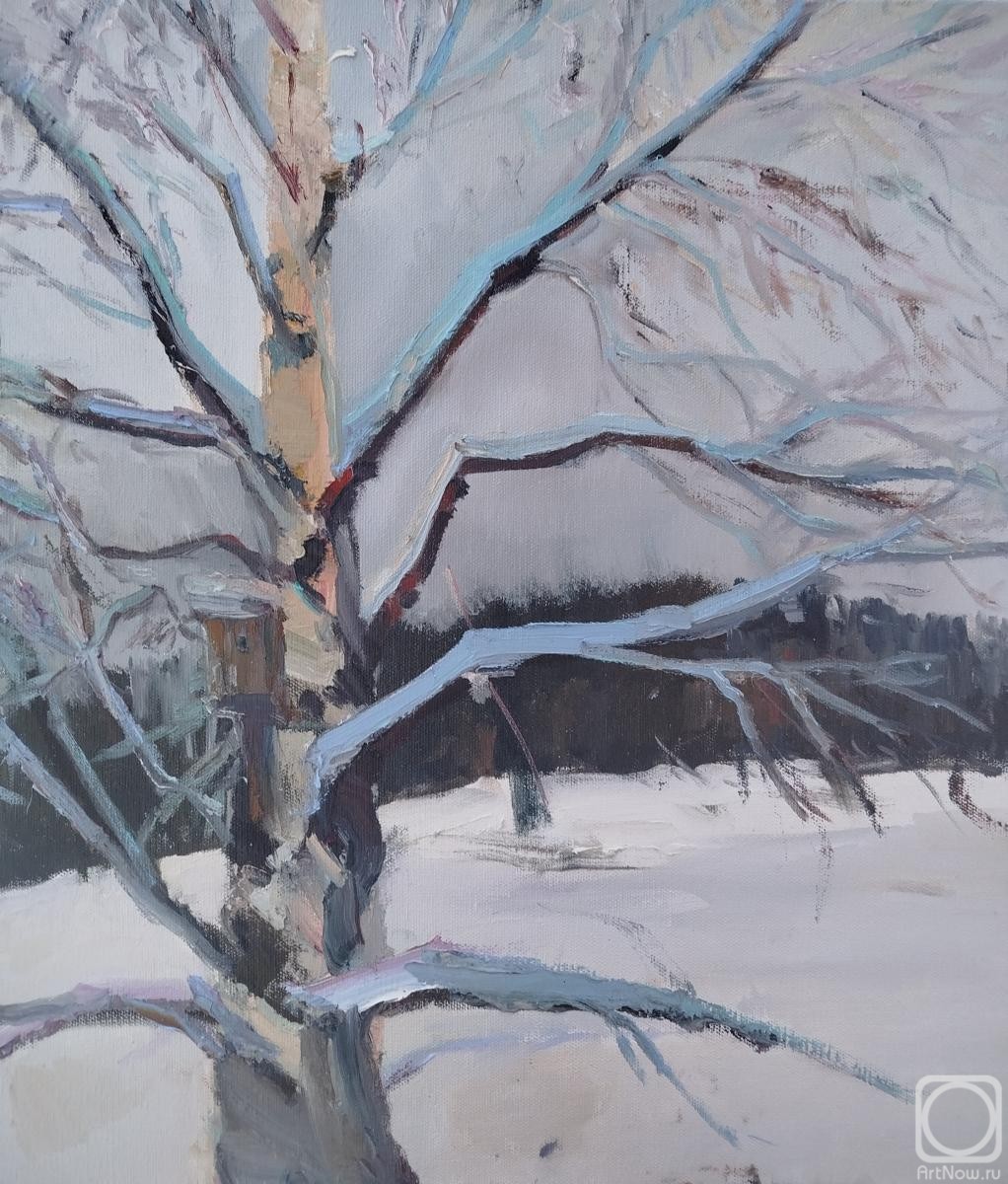 ������� ������ �� ������. �������� �����. ������� ��� ��������