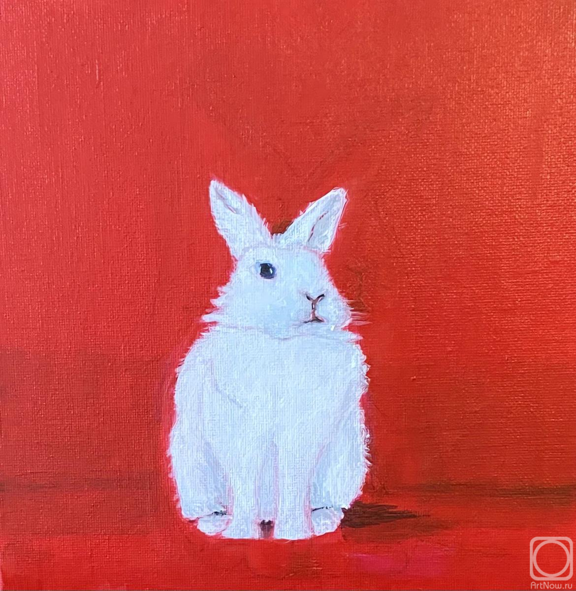 Shuvalova Nataliya. Bunny