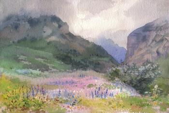 ����� ������. �����. ������� �����