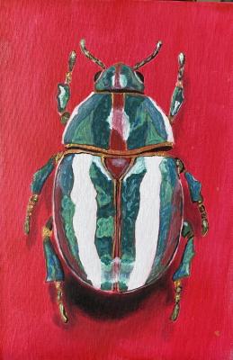 ������� ������������ ���