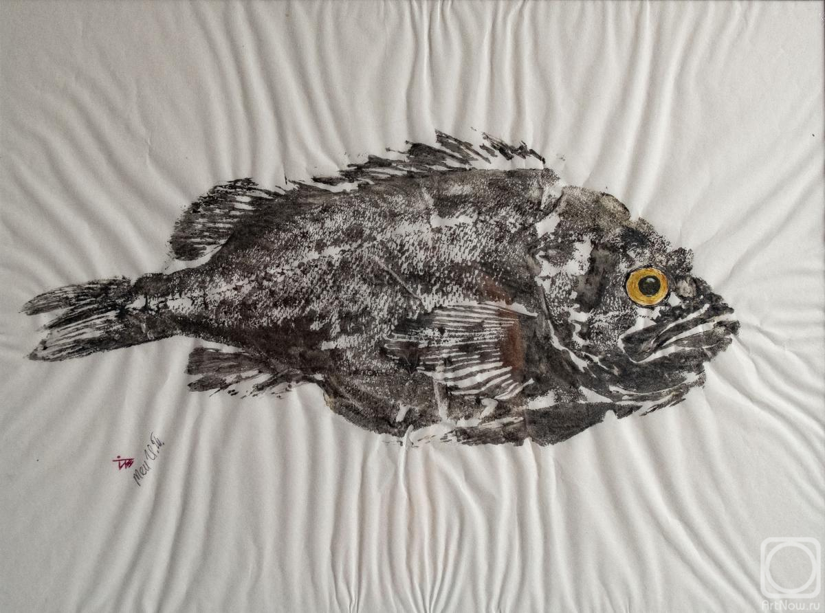 ��� �����. ø���� ������������ �����