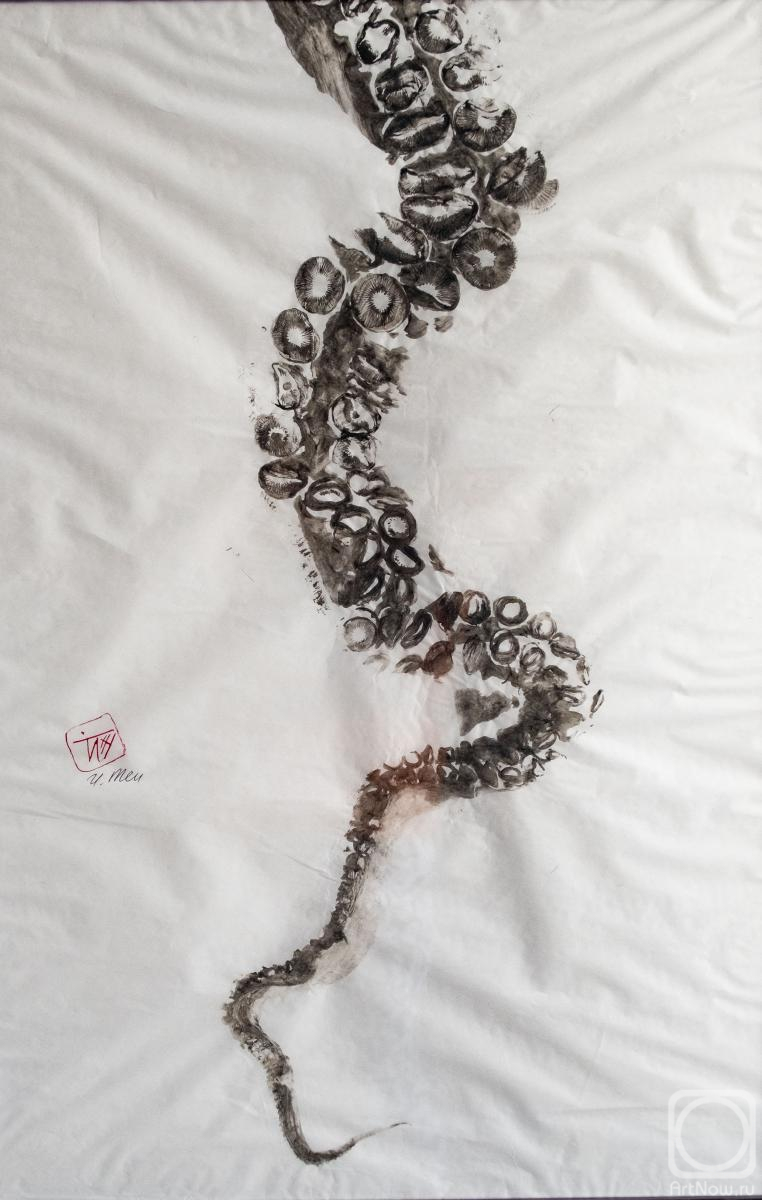 ��� �����. ø���� ������������ ���������