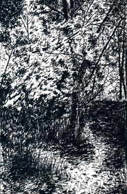 ������� ������ ������ ����