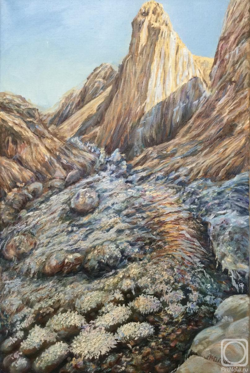 ������� ������ �� ������. ��������� �������. �������� �������