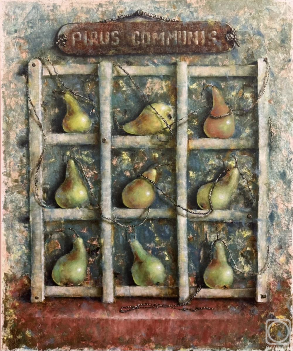 ������� ������ �� ������. �������� �����. ����� ������������