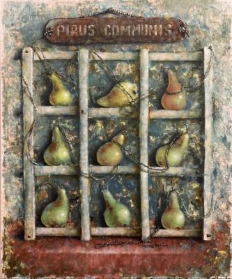 ����� ������������. �������� �����