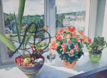 �����. ������ ����