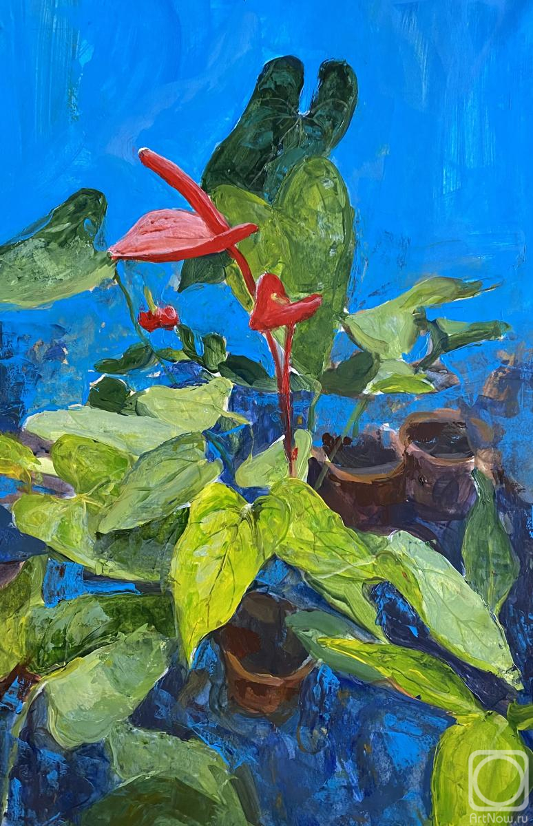 �������. ����������� ������. �����