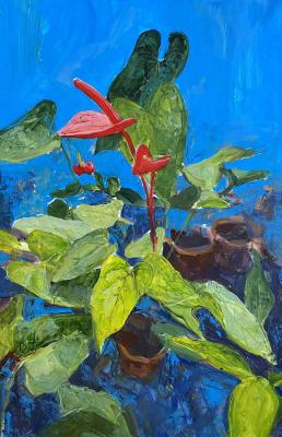 ������� �������