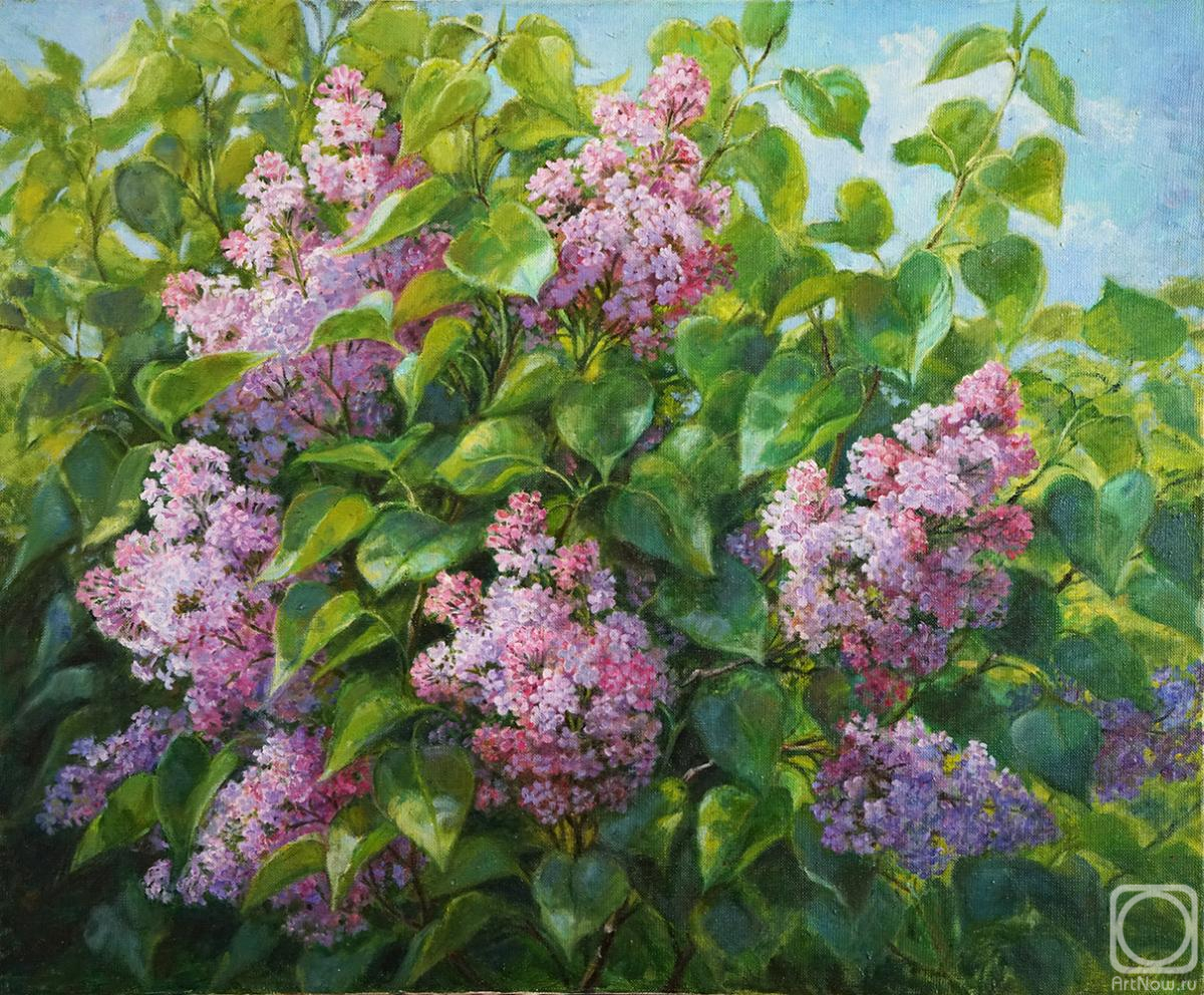 Shumakova Elena. Untitled