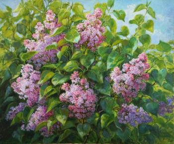 ������ ������. �������� �����