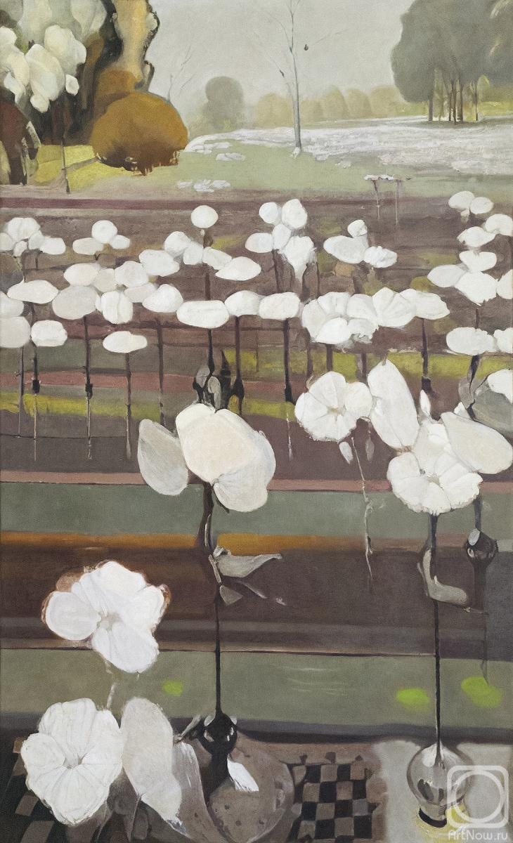 ������� ������ �� ������. ������� �����. ������ �����