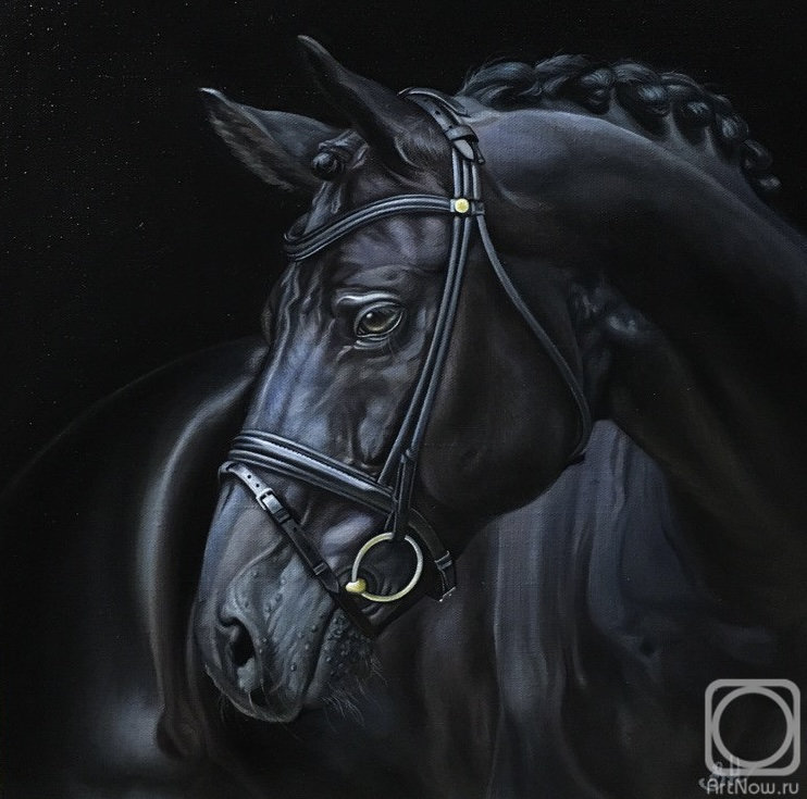 ������� ������ �� ������. ��������� �������. ������