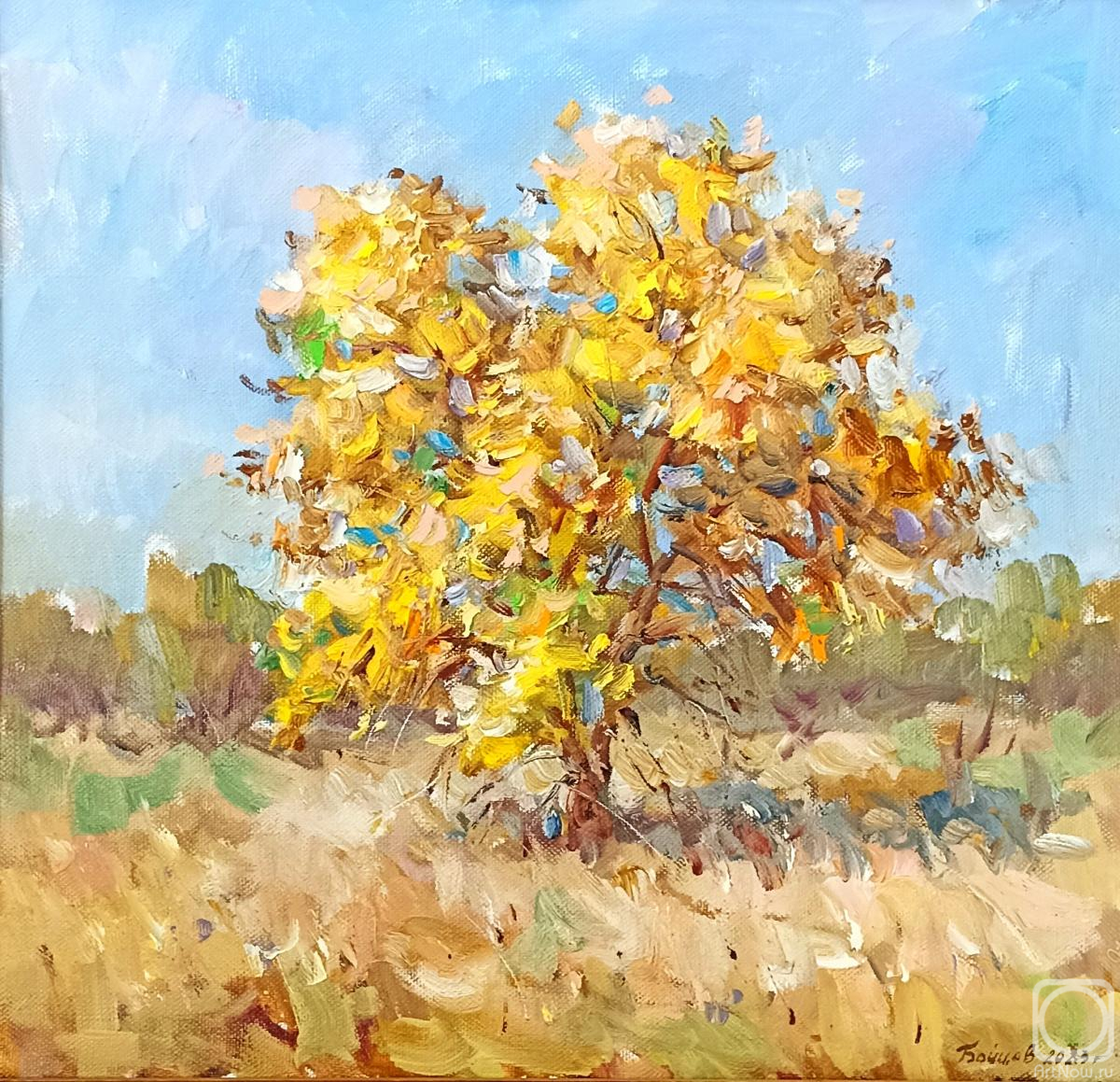 ������� ������ �� ������. ������ ����. ������� ����