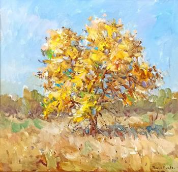 ������� �������� �����