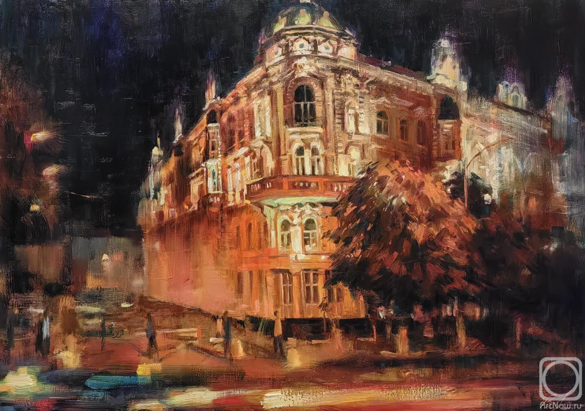 Vorobyov Anton. Sadovaya 47, night