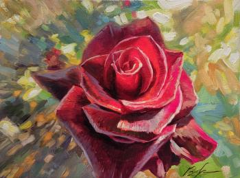 ����������� ����. �������� �����