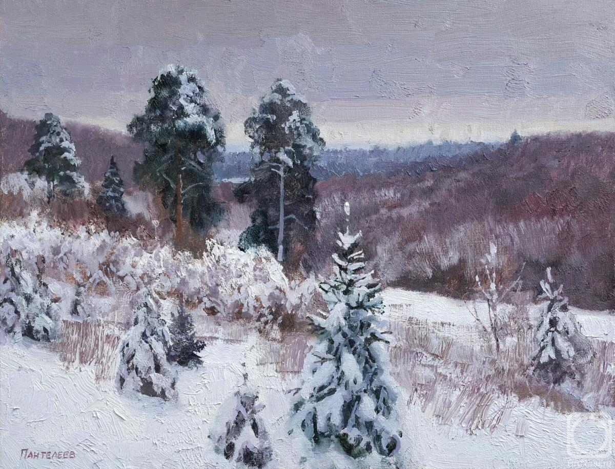 Panteleev Sergey. Gray January