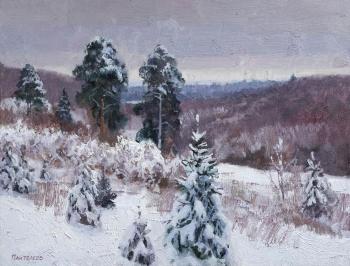 Gray January. Panteleev Sergey