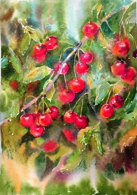 ���� ���� �������� �����. ��������� �������