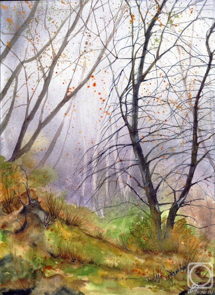 �������. �������� ����. ������� �����